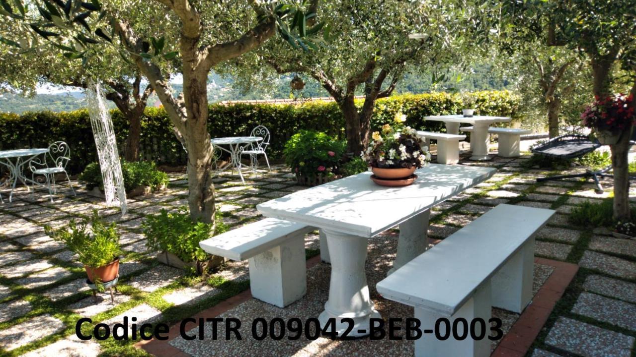 Bed & Breakfast Elfo Degli Ulivi