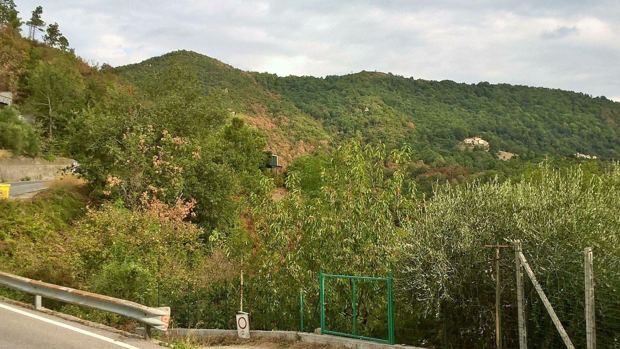 Bed & Breakfast Elfo Degli Ulivi 3*