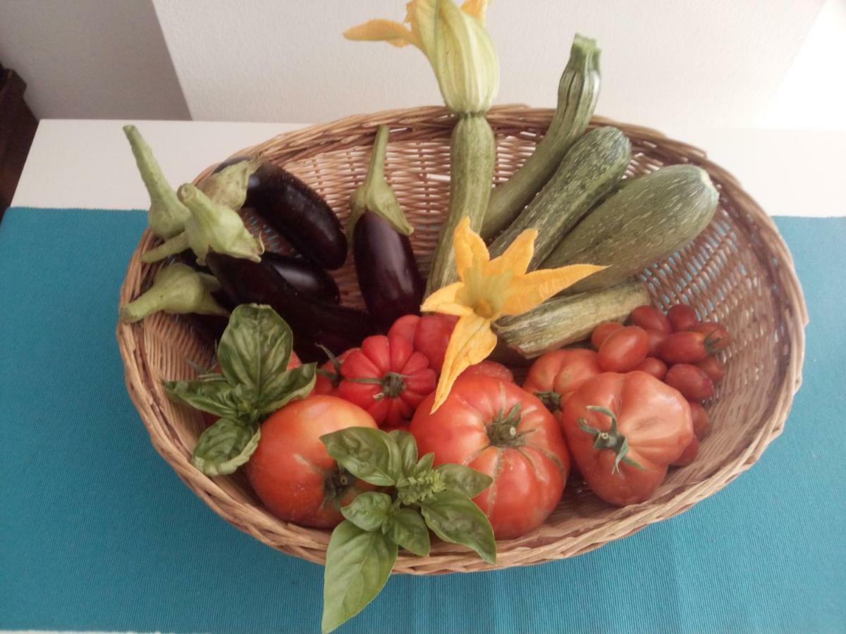 Elfo Degli Ulivi Bed & Breakfast 3*